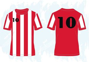Picture of S522 Soccer Shirt