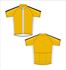 Picture of C005 Cycling Jersey