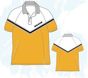 Picture of P3612 Polo Shirt